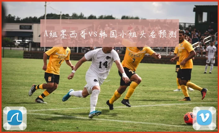 A组墨西哥vs韩国小组头名预测
