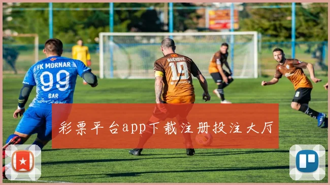 彩票平台app下载注册投注大厅
