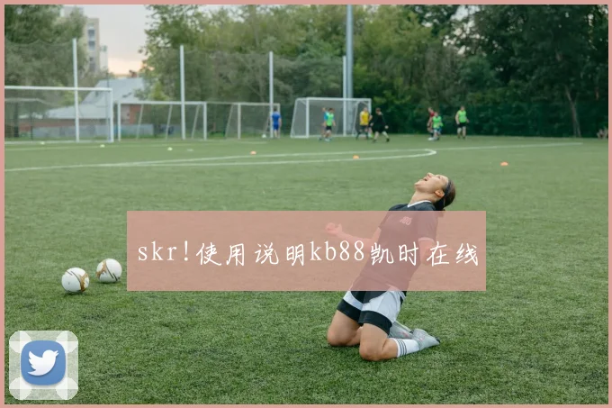 skr!使用说明kb88凯时在线
