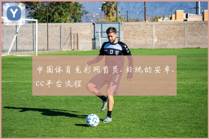 中国体育竞彩网首页.好玩的安卓.cc平台流程