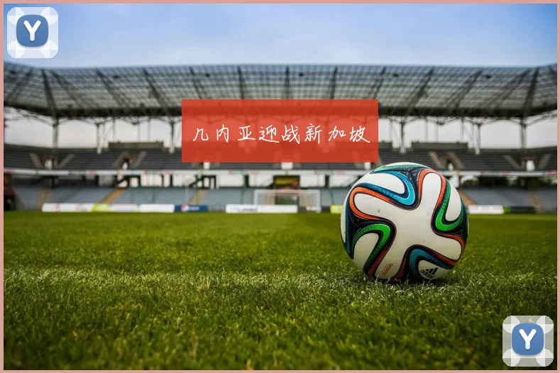 几内亚迎战新加坡