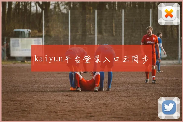kaiyun平台登录入口云同步