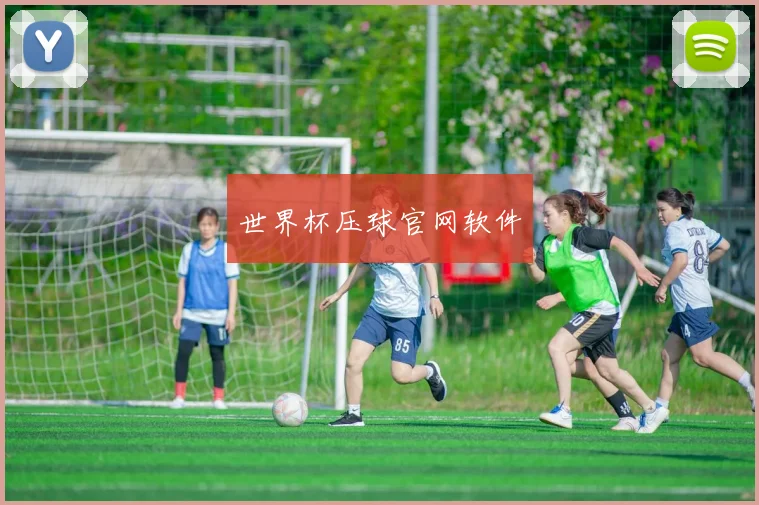 世界杯压球官网软件