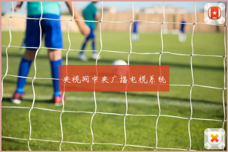 央视网中央广播电视系统