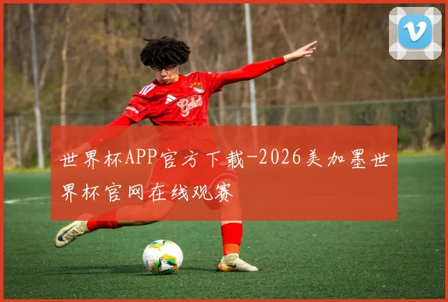 世界杯APP官方下载-2026美加墨世界杯官网在线观赛