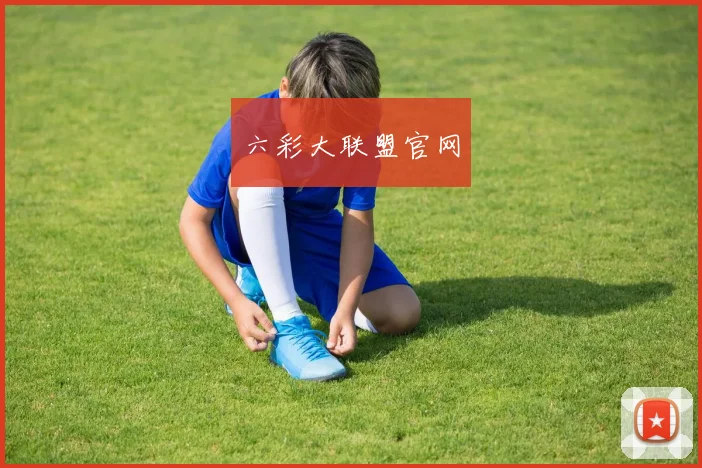 六彩大联盟官网