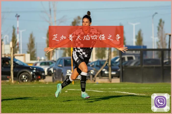 芝加哥火焰四强之争