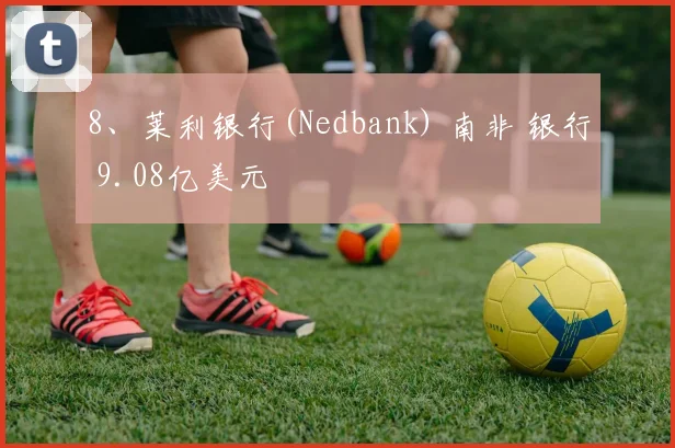 8、莱利银行(Nedbank) 南非 银行 9.08亿美元