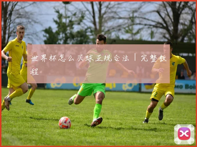 世界杯怎么买球正规合法｜完整教程