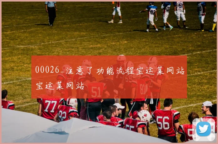 00026_注意了功能流程宝运莱网站宝运莱网站