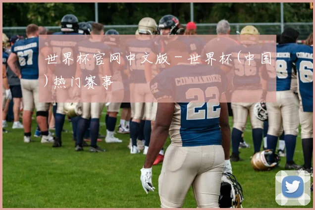 世界杯官网中文版 - 世界杯(中国)热门赛事