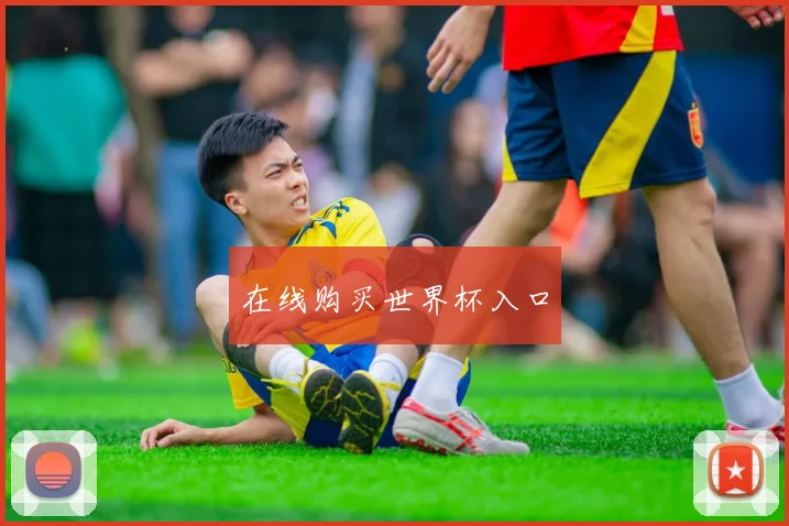 在线购买世界杯入口