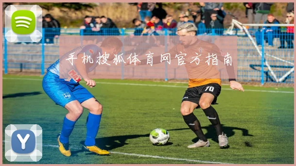 手机搜狐体育网官方指南