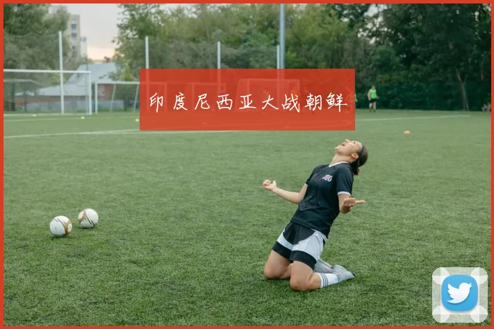 印度尼西亚大战朝鲜