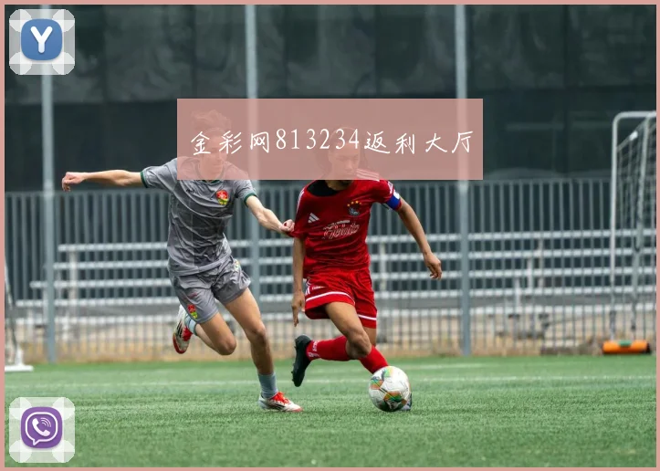 金彩网813234返利大厅