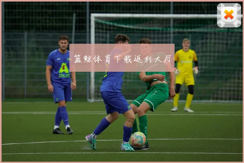 篮鲸体育下载返利大厅