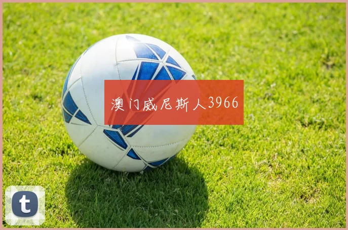 澳门威尼斯人3966