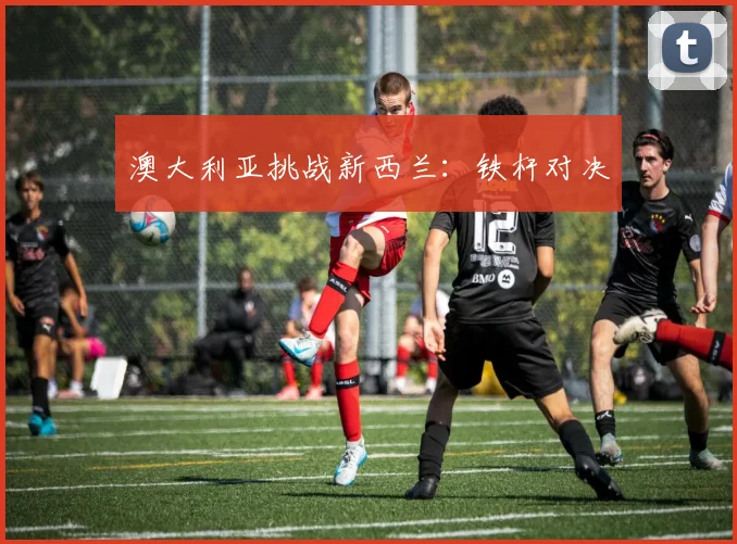 澳大利亚挑战新西兰：铁杆对决