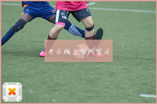 开云线上官网官方
