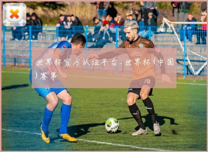 世界杯官方认证平台_世界杯(中国)赛事