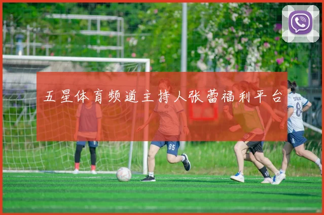 五星体育频道主持人张蕾福利平台