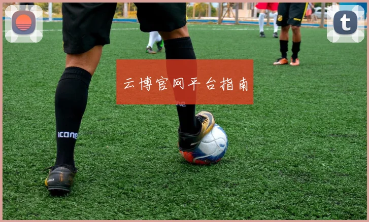 云博官网平台指南