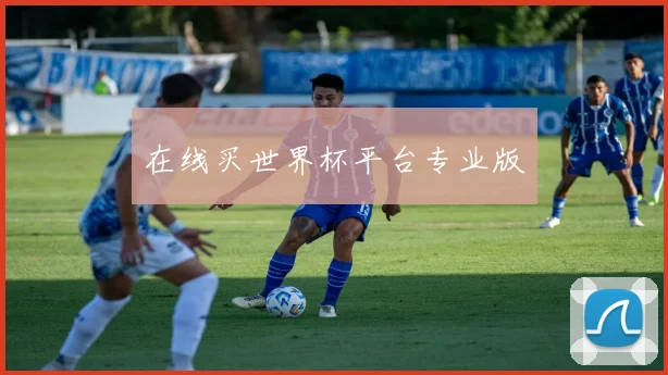 在线买世界杯平台专业版