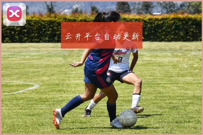 云开平台自动更新