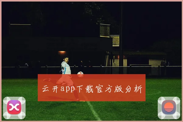 云开app下载官方版分析