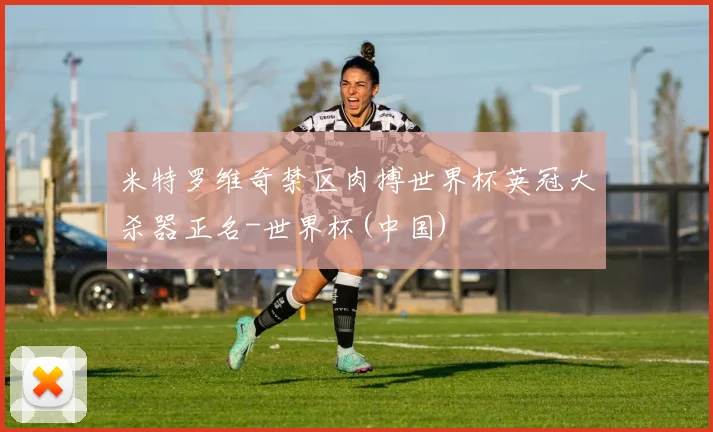 米特罗维奇禁区肉搏世界杯英冠大杀器正名-世界杯(中国)