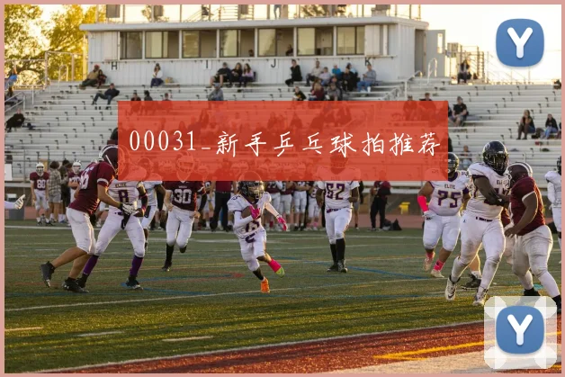 00031_新手乒乓球拍推荐