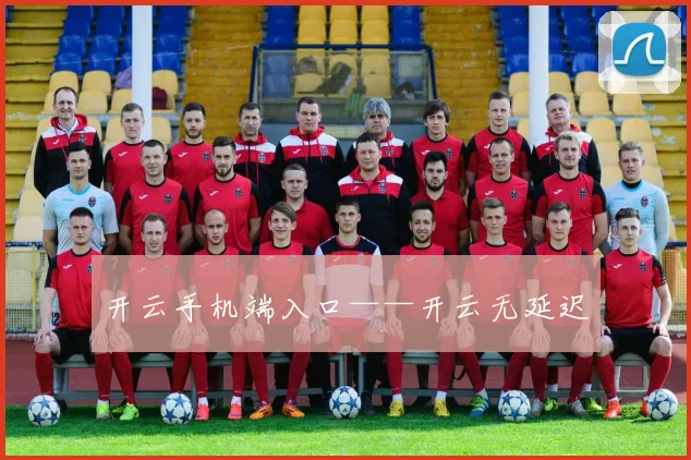 开云手机端入口——开云无延迟
