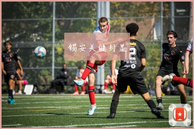 锡安关键封盖