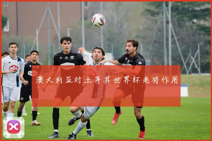 澳大利亚对土耳其世界杯老将作用