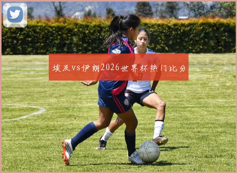 埃及vs伊朗2026世界杯热门比分